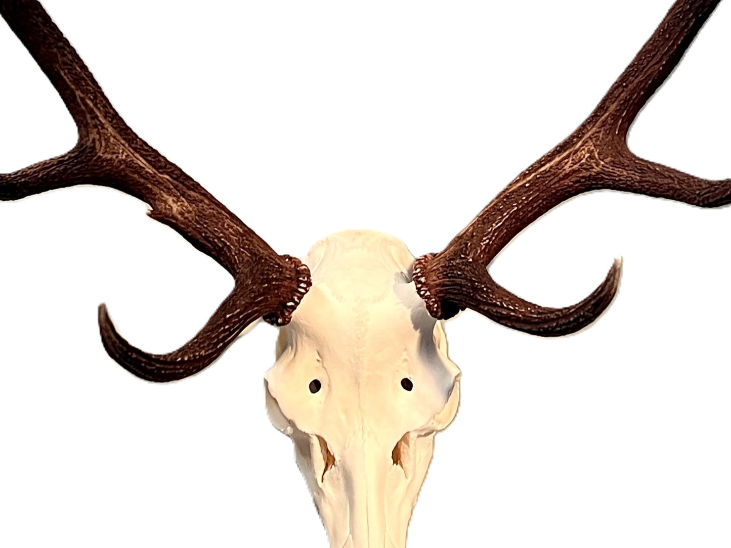 Deer Skull Hanger Wall Mount Kit