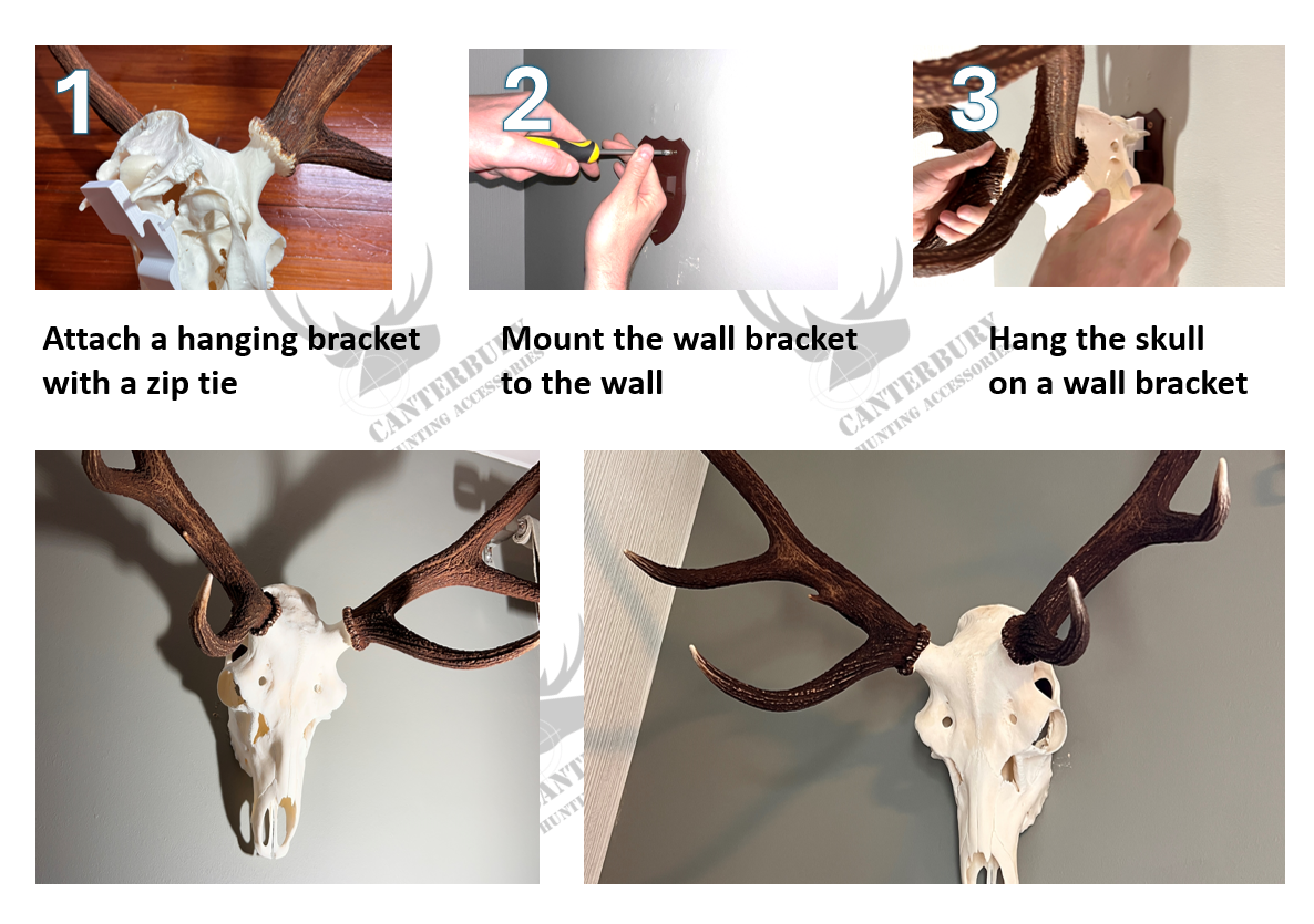 Deer Skull Hanger Wall Mount Kit