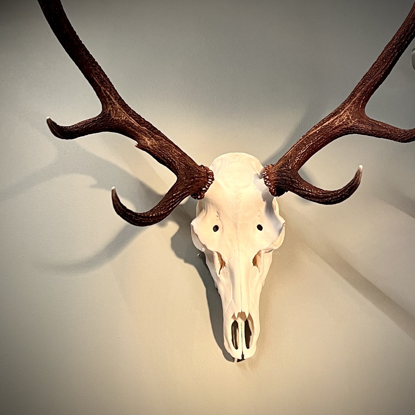 Deer Skull Hanger Wall Mount Kit