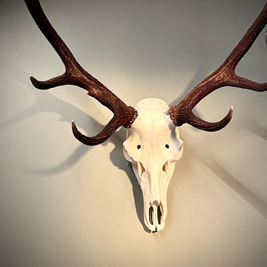Deer Skull Hanger Wall Mount Kit